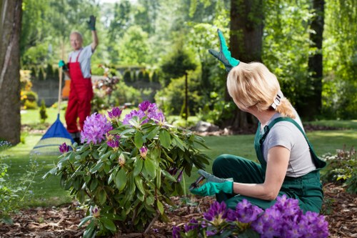 Gardening team assessing a front garden