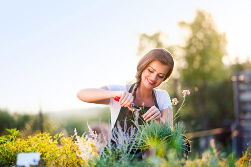 Gardener in Highbury starting a garden tidy in a terraced front garden