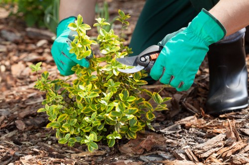 Eco-friendly garden waste recycling
