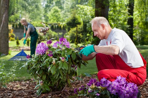 Eco-friendly lawn mowing solutions in Highbury