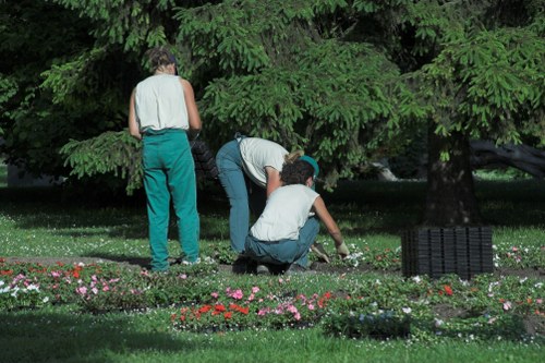 Experienced lawn care professionals at work in Highbury