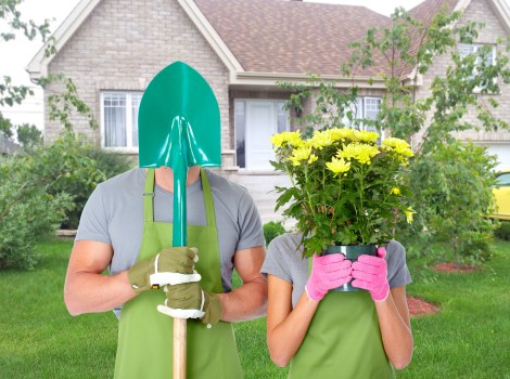 Seasonal lawn care practices for a healthy garden in Highbury