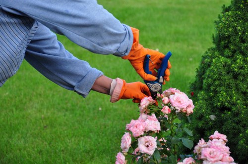 Staff member guiding a visitor with mobility aid through a garden