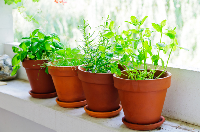 Refresh Your Outdoor Living Area with Privacy-Granting Tall-Potted Plants